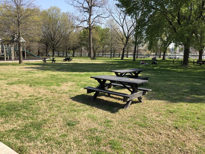 The photo shows picnic benches on a grassy area with scattered trees.Hains Point Picnic Area D