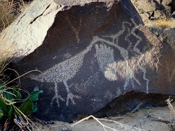 Bird and Footprint PetroglyphsPetroglyphs of a bird and a footprint at Piedras Marcadas Canyon.