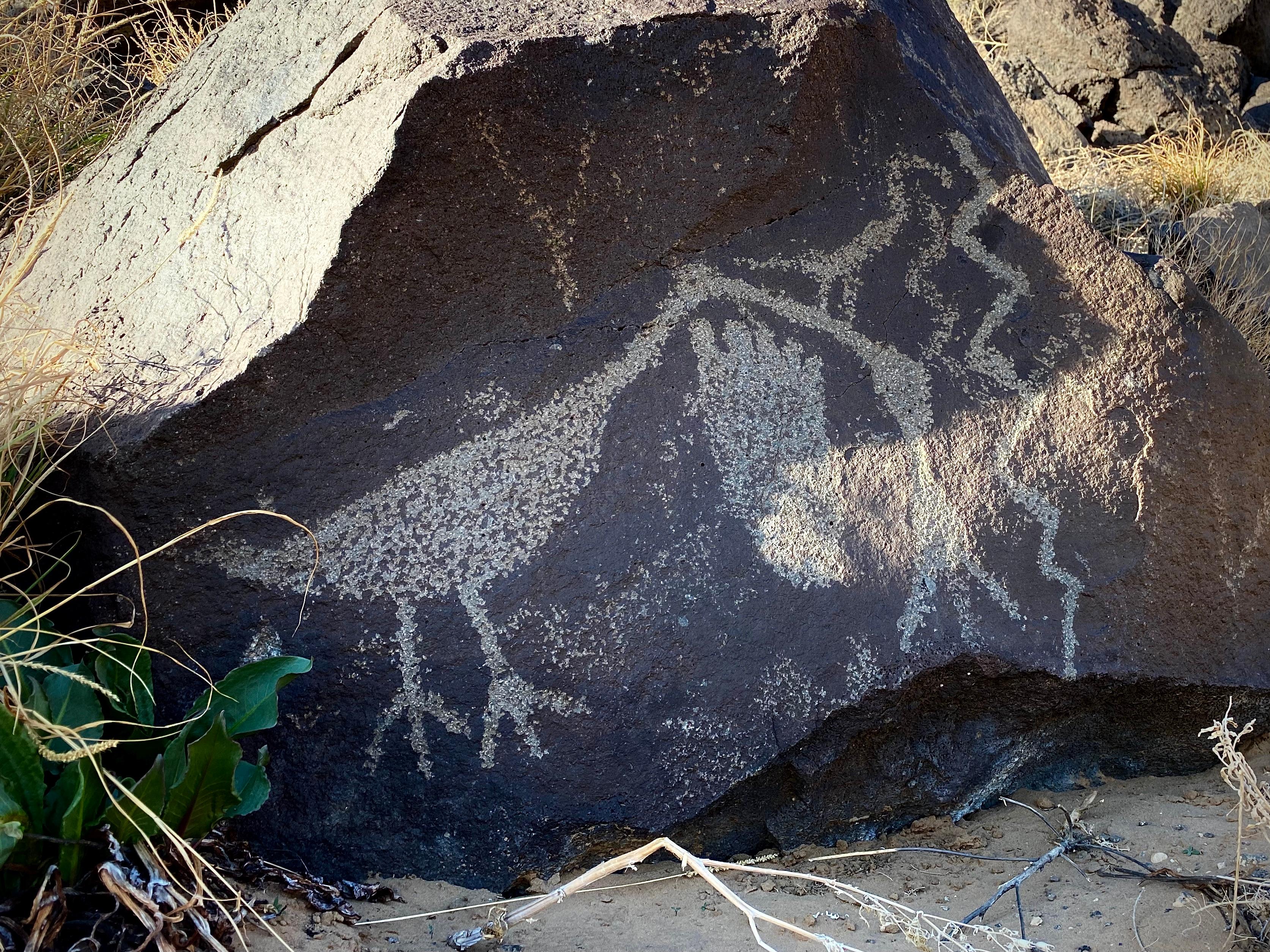 Bird and Footprint Petroglyphs