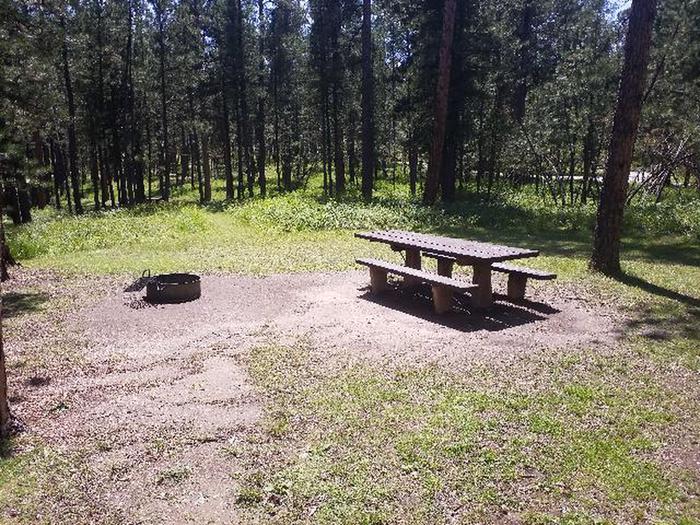PICNIC TABLE AND FIRE RINGSMOKEY SITE 30