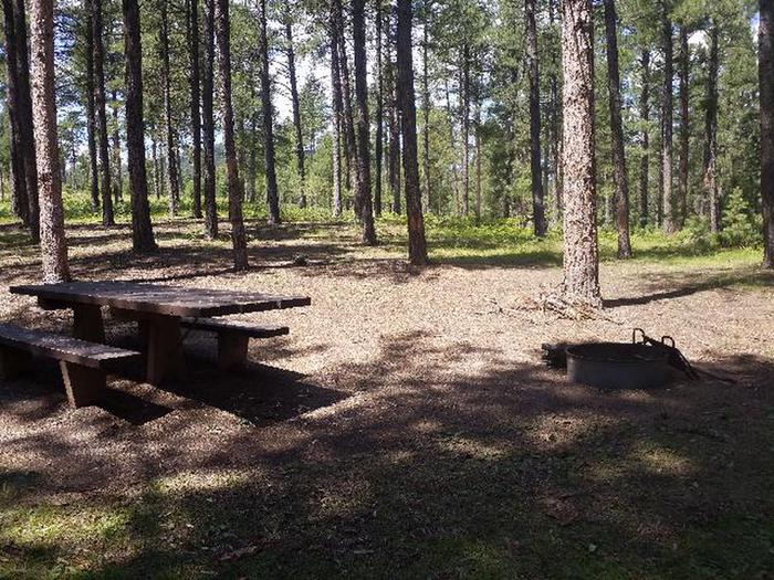 PICNIC TABLE AND FIRE RINGSMOKEY SITE 34