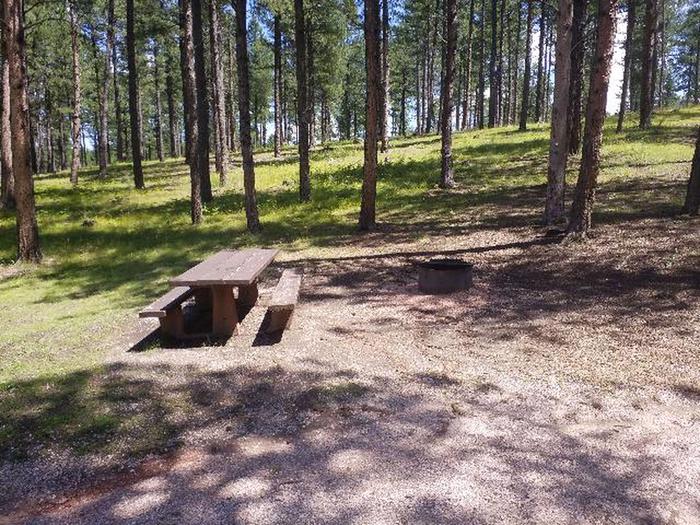 PICNIC TABLE AND FIRE RINGSMOKEY SITE 38