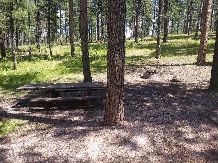 PICNIC TABLE AND FIRE RINGSMOKEY SITE 39
