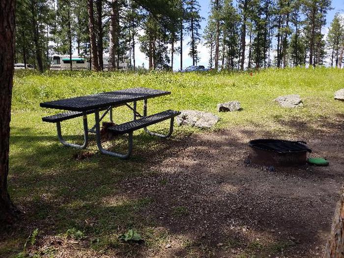 PICNIC TABLE AND FIRE RINGWOODSY SITE 40
