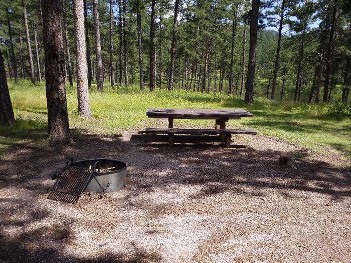 PICNIC TABLE AND FIRE RINGWOODSY SITE 42