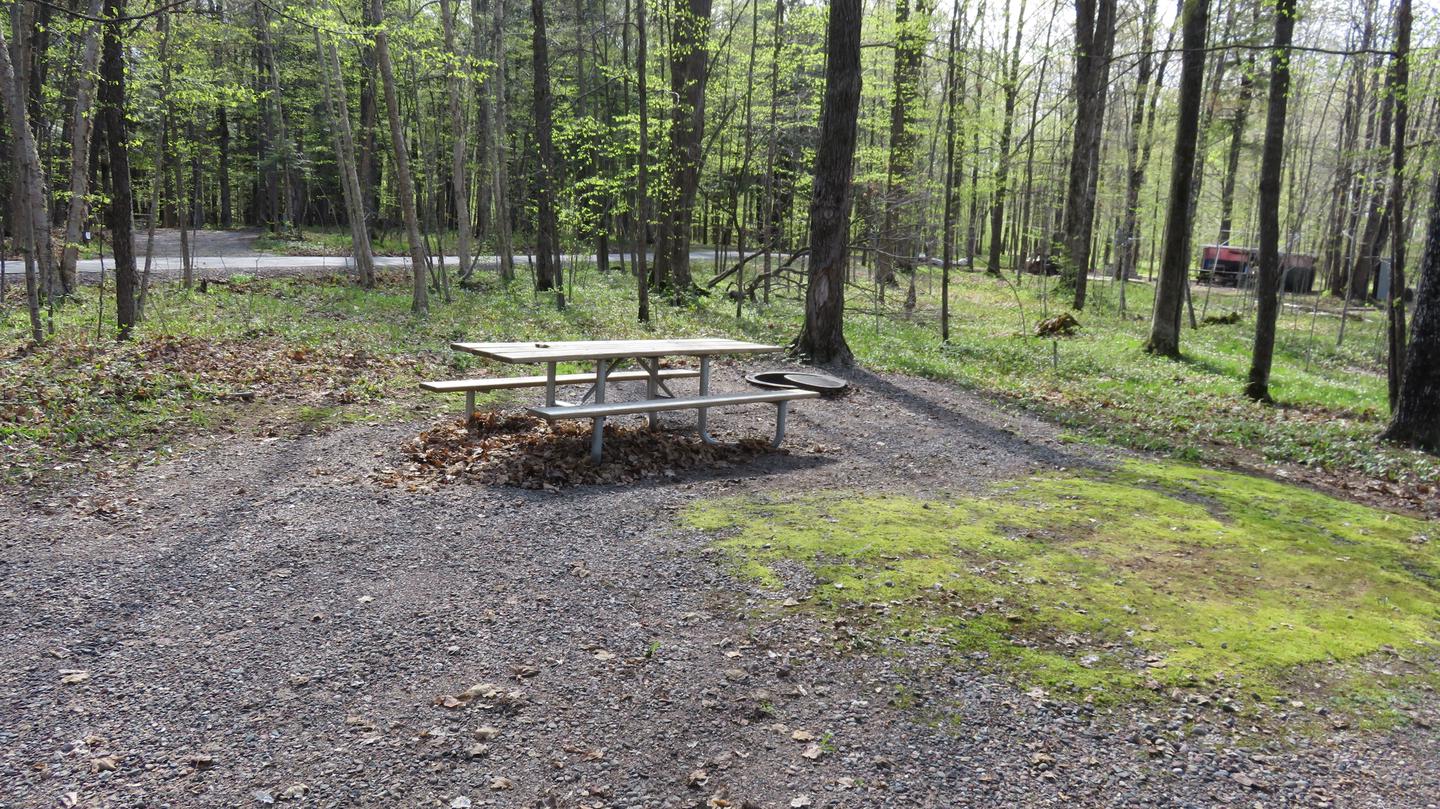 Site S48Picnic table and fire ring for Site S48