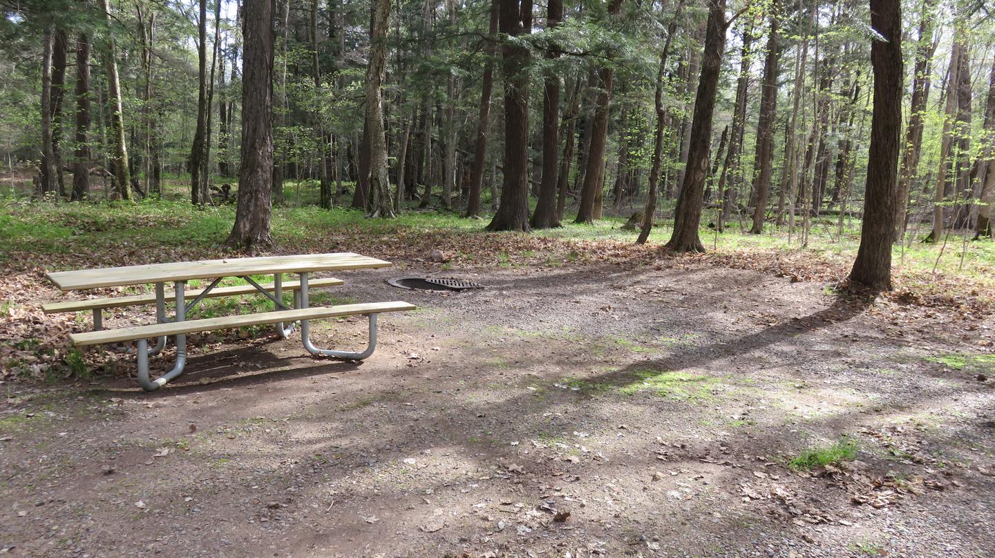 Site S46Picnic table and fire ring for Site S46