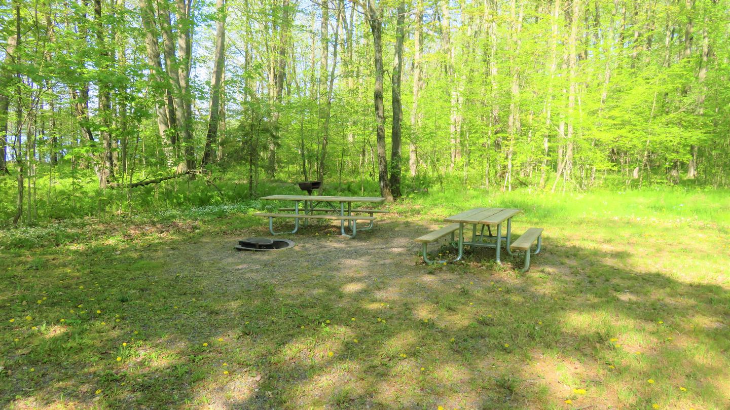 Site P52Picnic tables and fire ring for Site P52