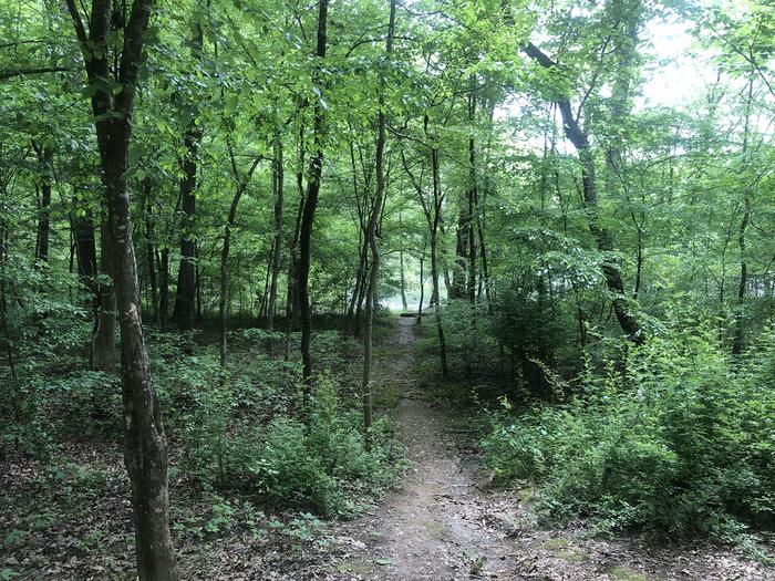Lake access trail in rear of site
