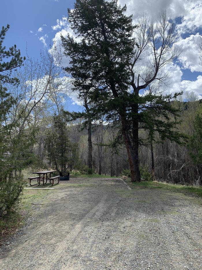 Campsite 13 Entrance, gravel, picnic table, trees blue sky, white cloudCampsite 13 Entrance