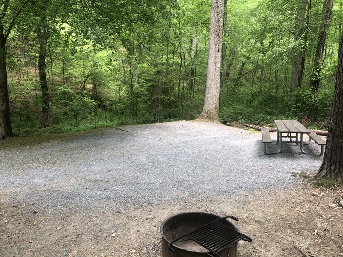 Campsite backs up to lush Appalachian forest
