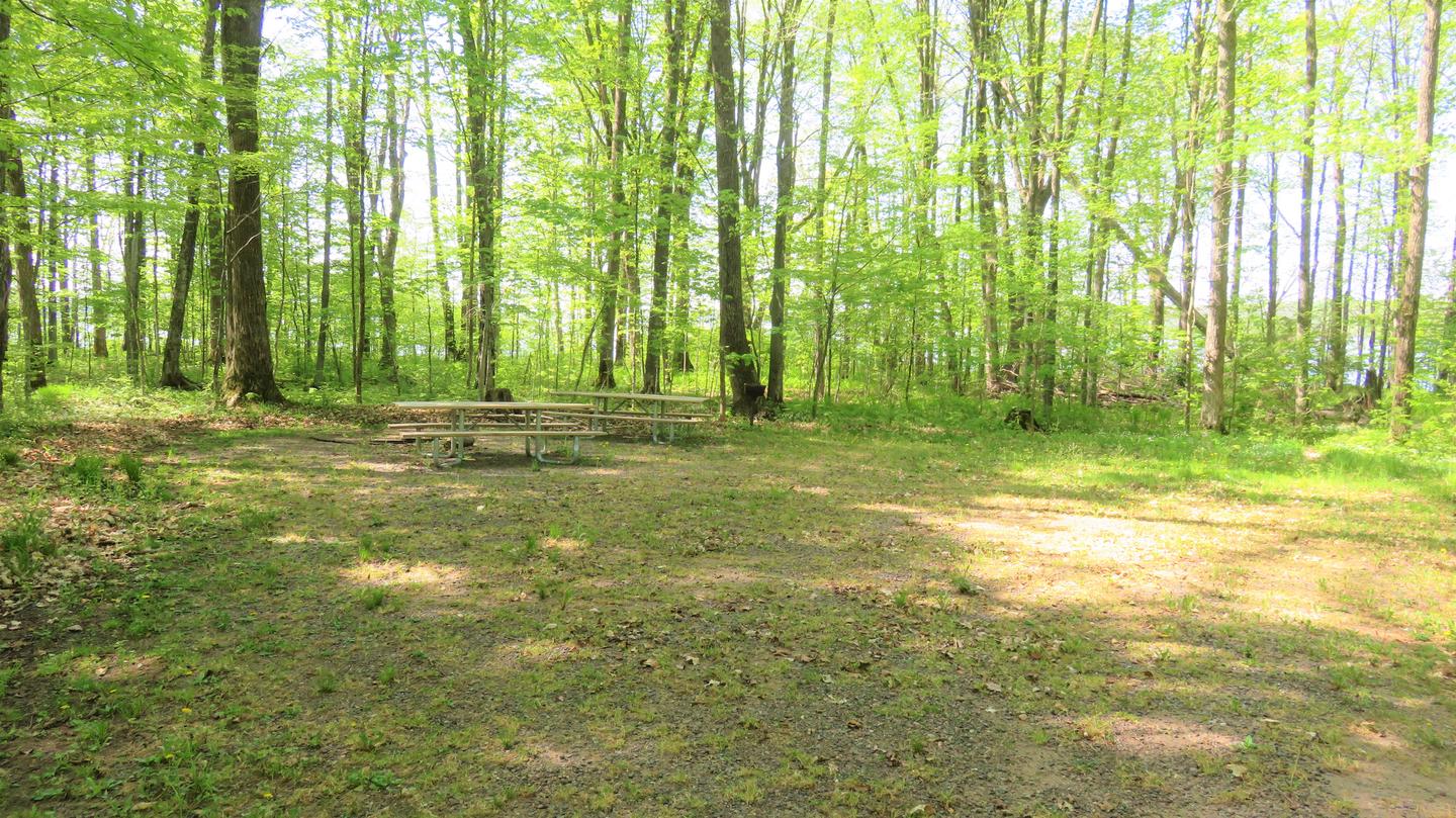 Site P56View of picnic tables and fire ring for Site P56