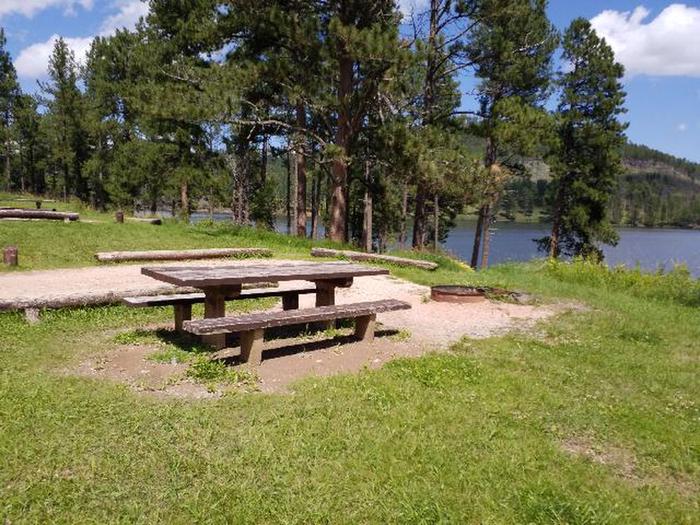 PICNIC TABLE AND FIRE RINGWOODSY SITE 65