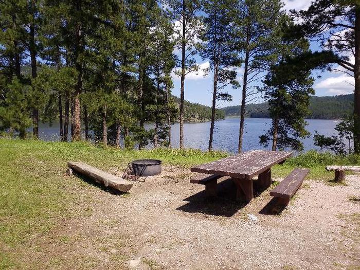 PICNIC TABLE AND FIRE RINGWOODSY SITE 66