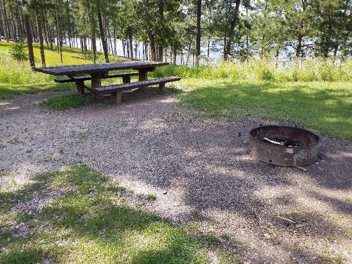 PICNIC TABLE AND FIRE RINGWOODSY SITE 67