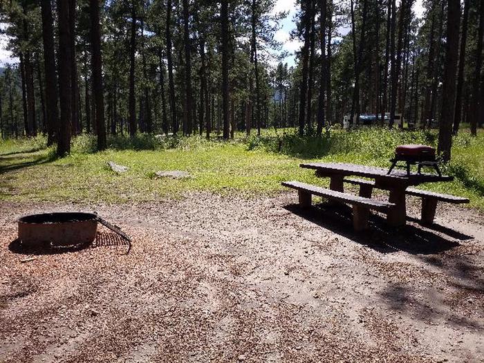 PICNIC TABLE AND FIRE RINGWOODSY SITE 68