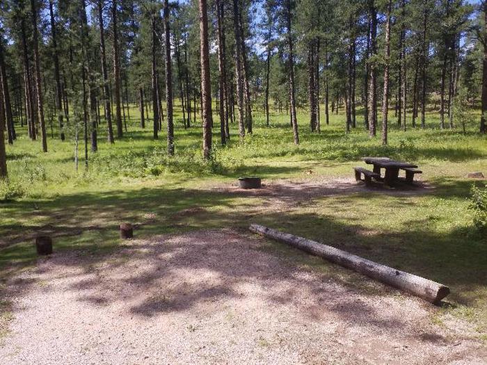 PICNIC TABLE AND FIRE RINGCHIPPER SITE 71