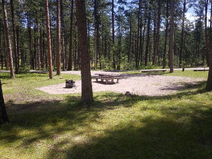 PICNIC TABLE AND FIRE RINGCHIPPER SITE 73