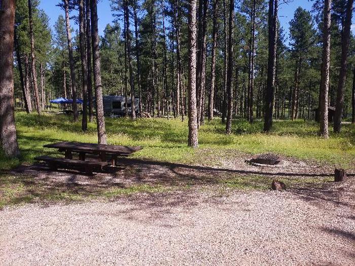 PICNIC TABLE AND FIRE RINGCHIPPER SITE 77
