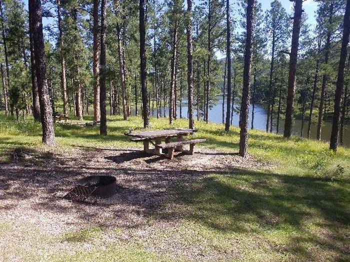 PICNIC TABLE AND FIRE RINGCHIPPER SITE 78