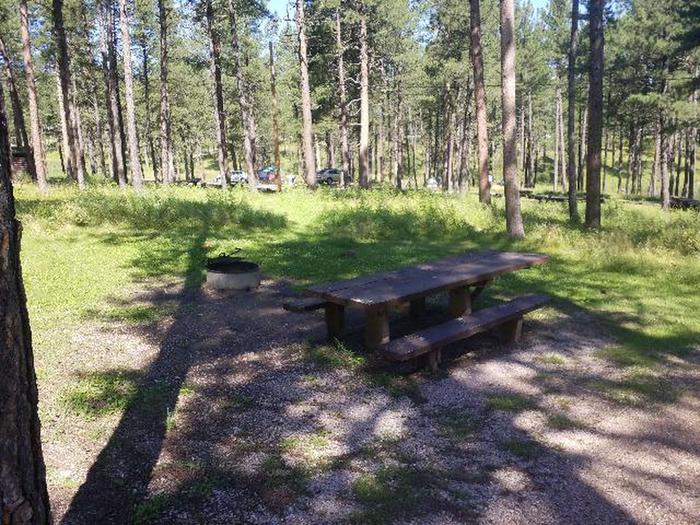 PICNIC TABLE AND FIRE RINGCHIPPER SITE 80