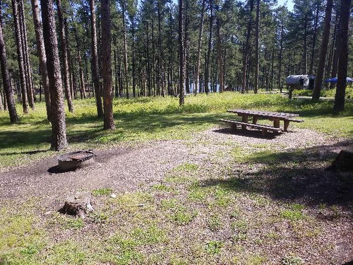 PICNIC TABLE AND FIRE RINGCHIPPER SITE 82