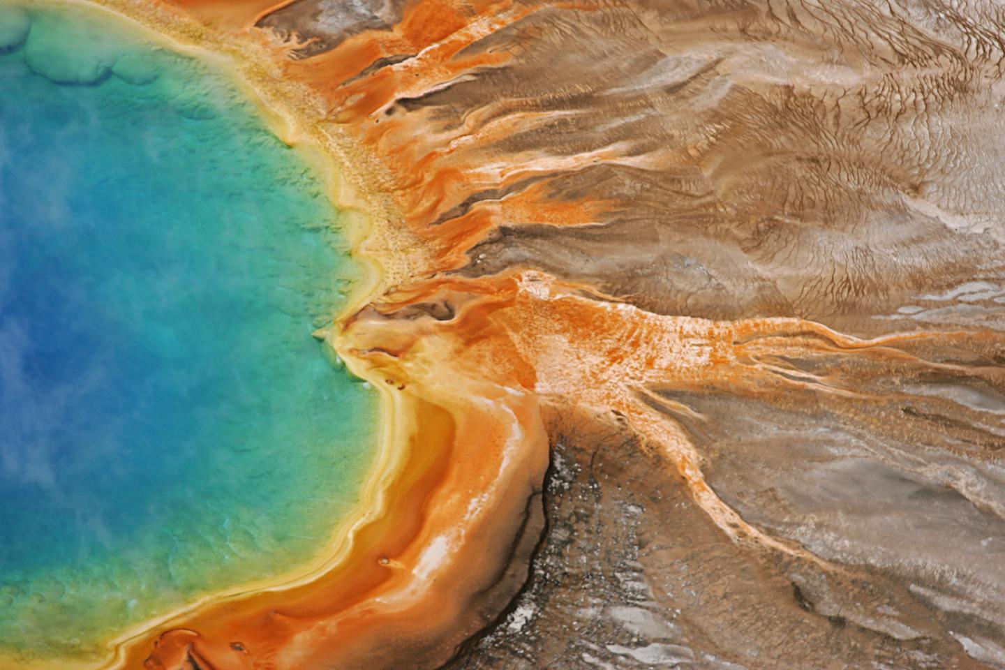 Grand Prismatic SpringThe bright colors found in Grand Prismatic Spring come from thermophiles—microorganisms that thrive in hot temperatures