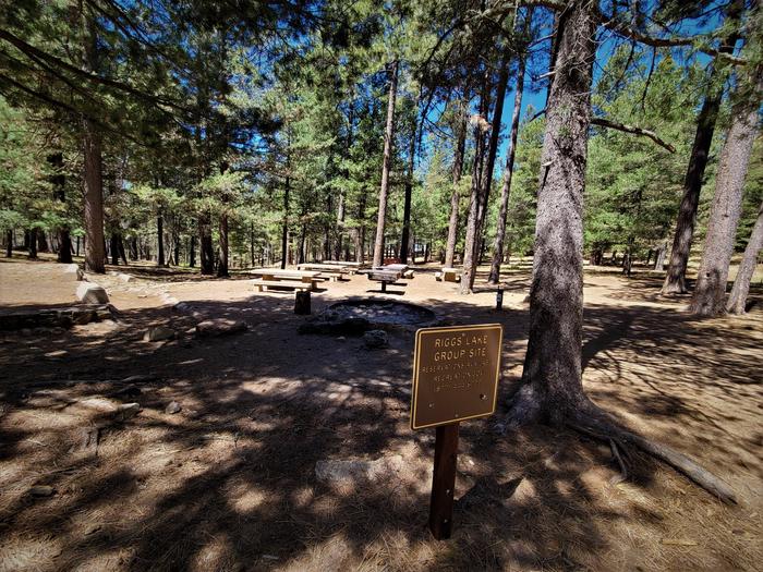 A view of Riggs Lake Group Site, including picnic tables, a fire pit, several trees, and the campsite identification sign.A view of Riggs Lake Group Campsite.