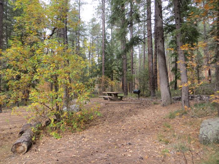 Pine Flat Campground Site 40