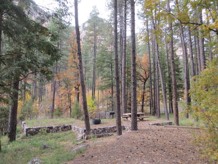 Pine Flat Campground Site 41