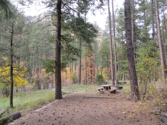 Pine Flat Campground Site 42