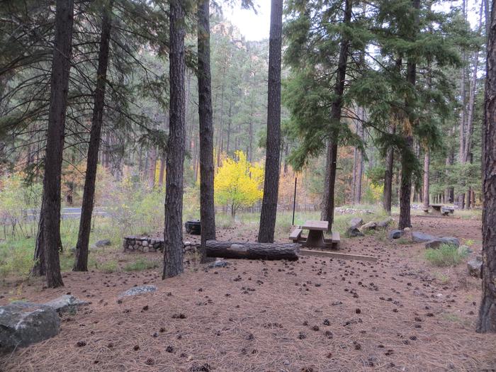 Pine Flat Campground Site 43