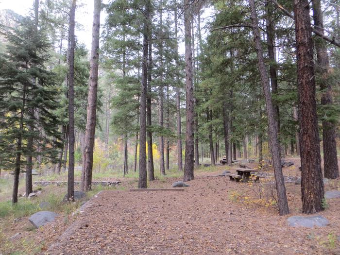 Pine Flat Campground Site 44