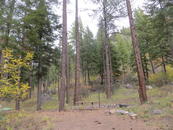 Pine Flat Campground Site 45