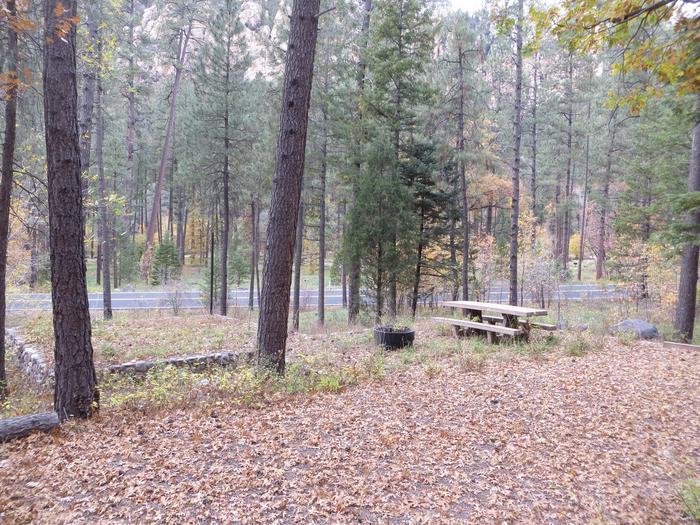 Pine Flat Campground Site 46