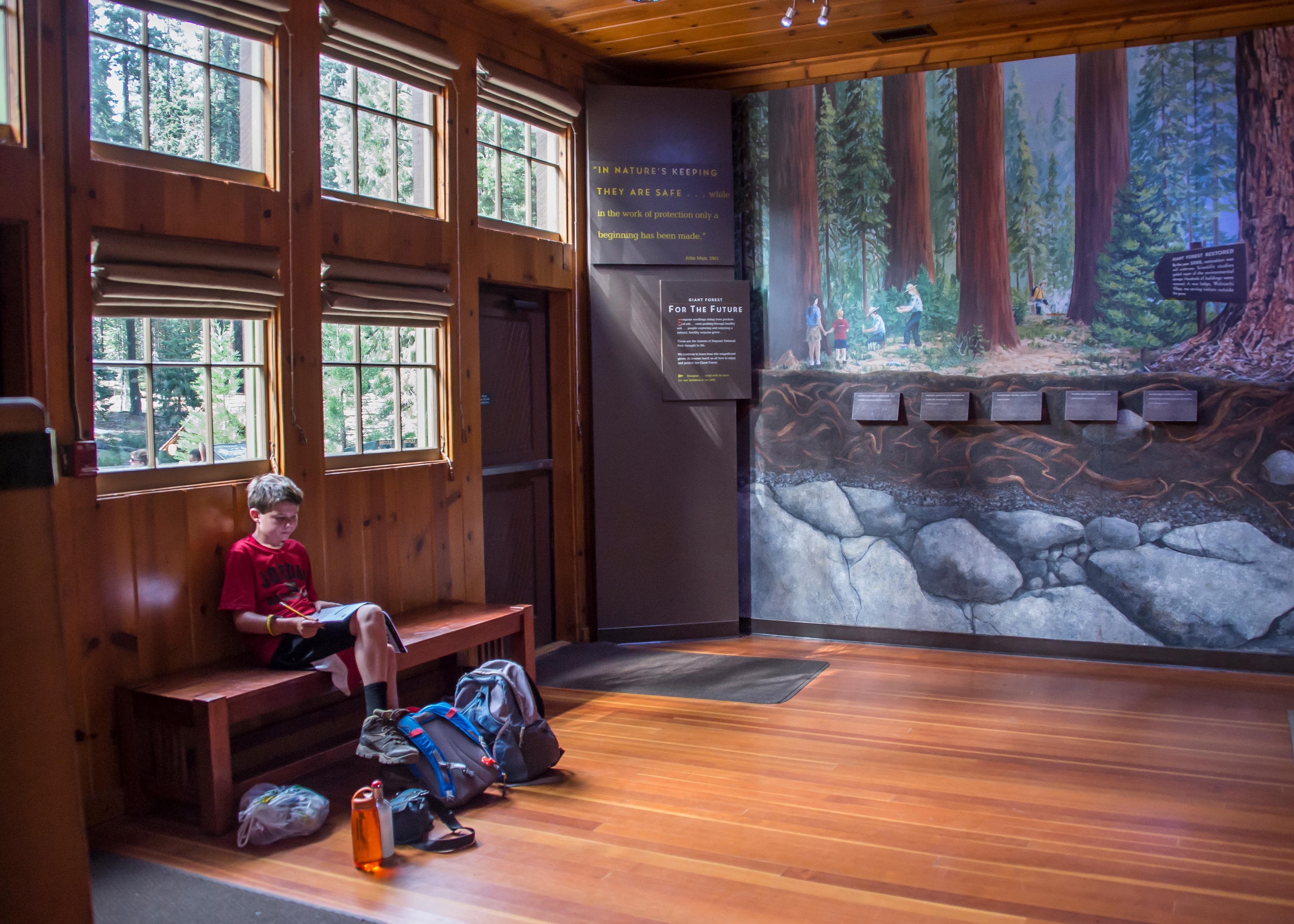 Giant Forest Museum