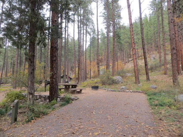 Pine Flat Campground Site 52