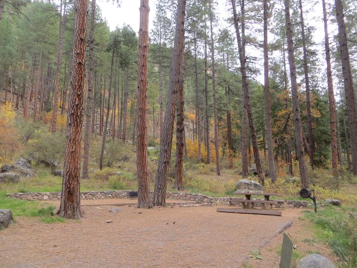 Pine Flat Campground Site 55