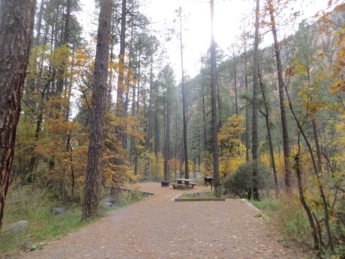 Pine Flat Campground Site 56
