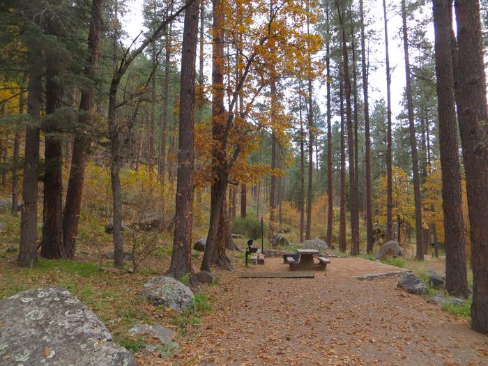 Pine Flat Campground Site 60