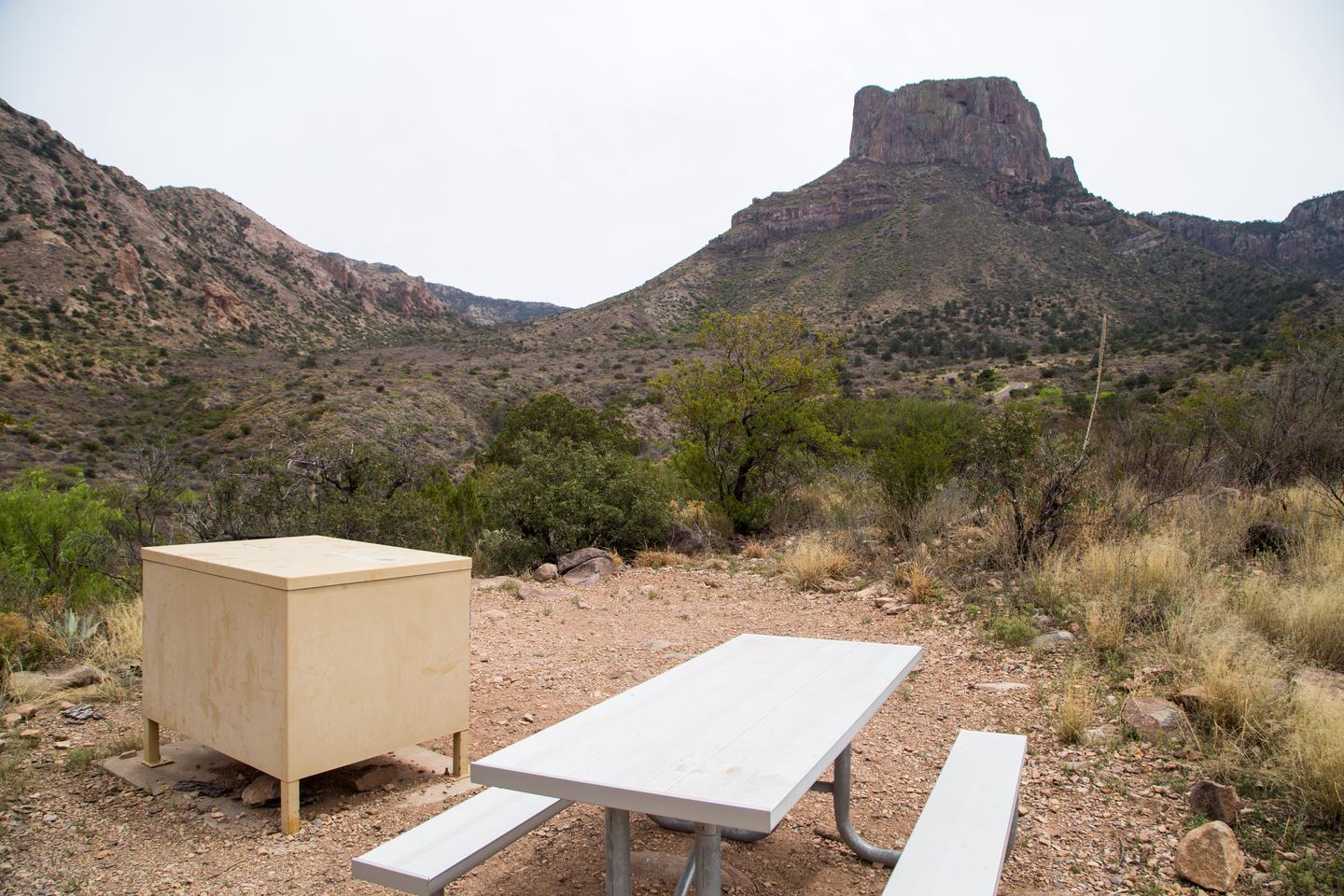 Rocky site with a view - picnic table, bear box and raised grill