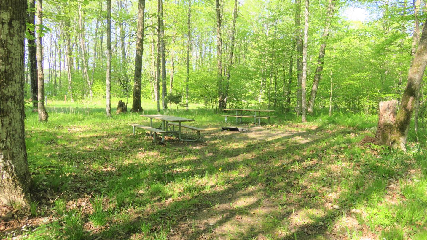 Site S50Picnic tables and fire ring for Site S50