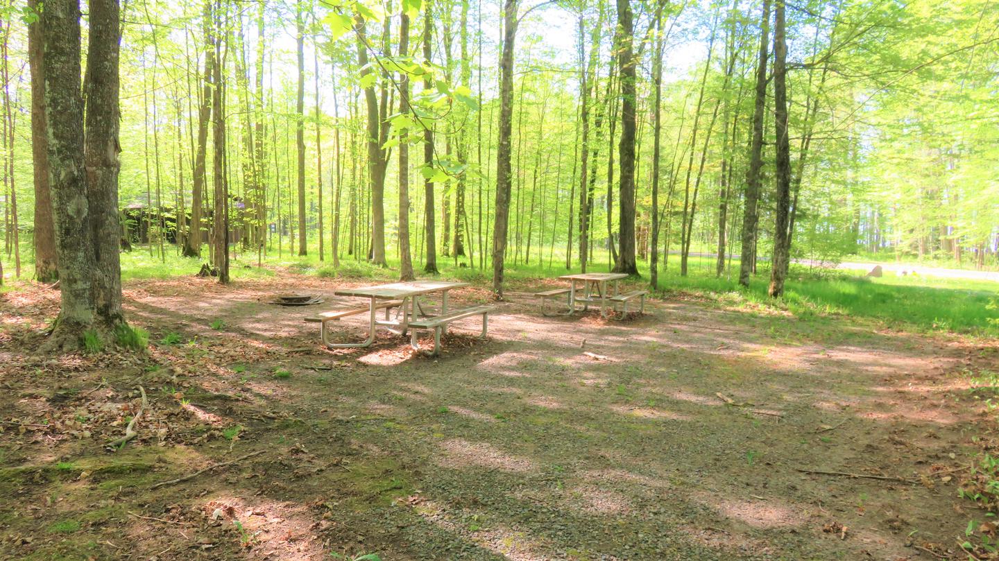 Site S51View of the picnic tables and fire ring for Site S51.  The second driveway can be seen on the far right.