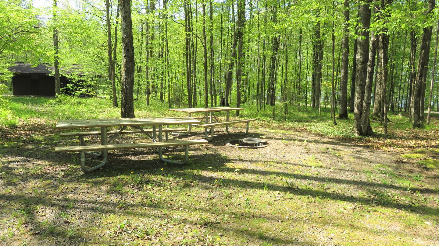 Site S60Picnic tables and fire ring for Site S60