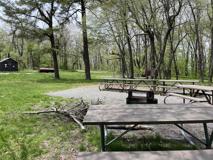 Dundo Site 02 with fire pit and picnic tables