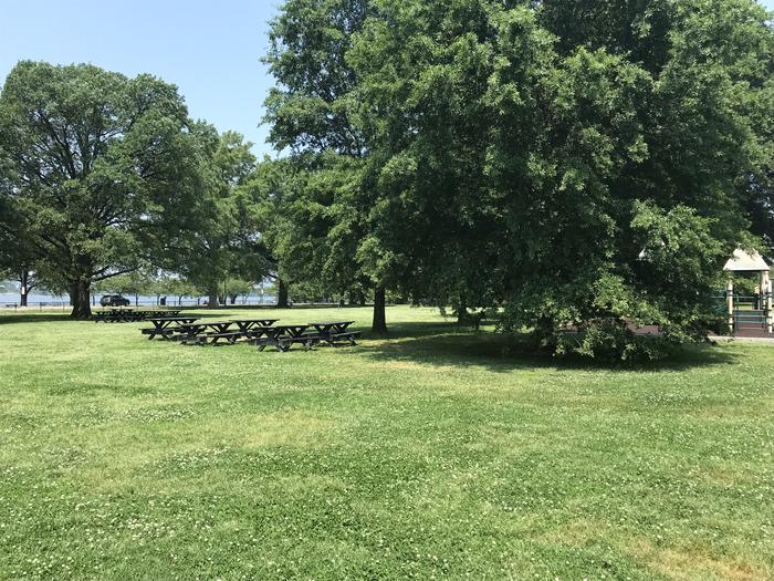 The photo shows picnic benches on a grassy area with scattered trees.Hains Point Picnic Area C