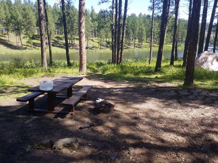 PICNIC TABLE AND FIRE RINGCHIPPER SITE 88