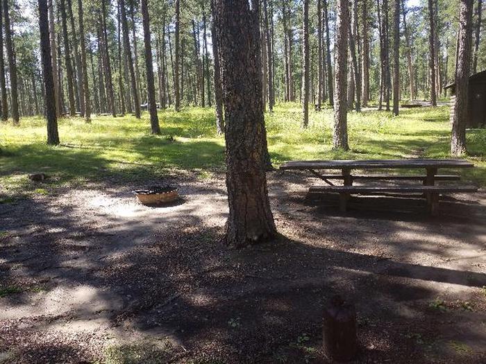 PICNIC TABLE AND FIRE RINGCHIPPER SITE 91