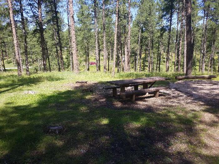 PICNIC TABLE AND FIRE RINGCHIPPER SITE 94