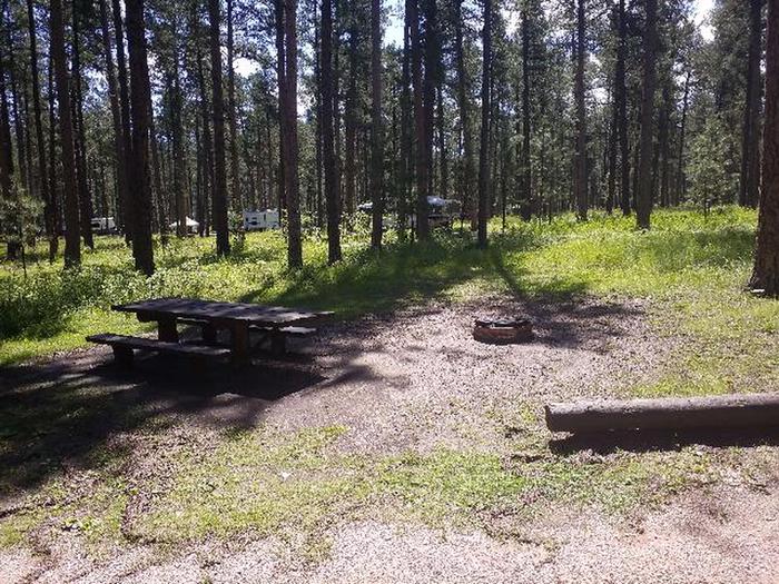 PICNIC TABLE AND FIRE RINGCHIPPER SITE 95